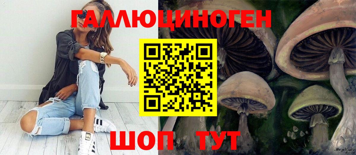 Псилоцибиновые грибы мицелий  Галлюциногенные грибы Psilocybe  Вход с VPN  Советская Гавань 