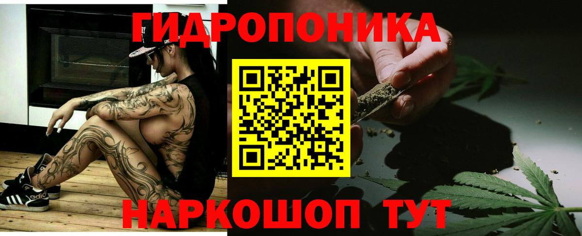 Марихуана сатива Советская Гавань